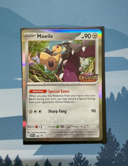 Pokemon Obsidian Flames Mawile SVP 039 Holo Prerelease Promo Near Mint - Image 1