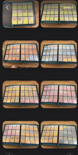 Pokemon Journey Together 100% Complete Master Set With PC Promo And Extra - Image 4