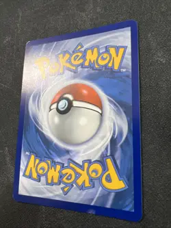 Galarian Moltres SWSH284 Sword & Shield Promo Black Star NM - Pokemon TCG - Image 3