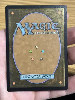 The Nipton Lottery Foil Extended Art Fallout MTG - Image 5