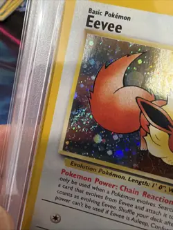 2000 Pokemon Eevee Holo W/ SWIRL BLACK STAR Promo Pokemon League #11 PSA 8 - Image 4