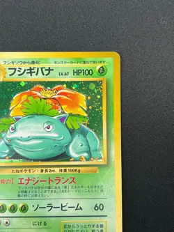 [NM] Venusaur Pokemon Card Japanese No.003 Base Basic Set Vintage Holo 24J17 - Image 5