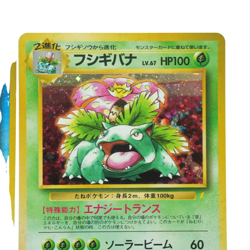 Blastoise Venusaur CD Promo 1999 2 Set Holo Japanese Pokemon card 115D - Image 5