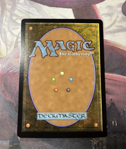 Abundant Countryside - Extended Art - Lorwyn Eclipsed - Magic the Gathering - Image 2