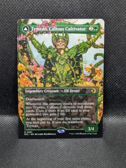 Trystan, Callous Cultivator Borderless - 291 - R - MTG Lorwyn Eclipsed - Image 1