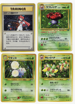 Japanese Pokemon Holo Lot of 12 - Fossil Jungle Rocket Neo Pokemon TCG NM/LP/MP - Image 4