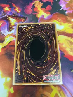 Cataclysmic Crusted Calcifida IGAS-EN025 Yu-Gi-Oh! Card -NM - Image 2