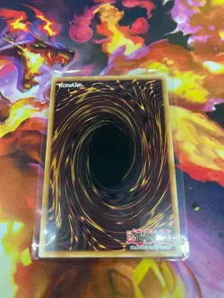 Cataclysmic Crusted Calcifida IGAS-EN025 Yu-Gi-Oh! Card -NM - Image 4