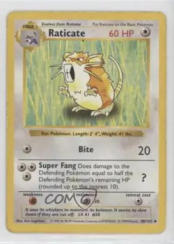 Raticate Shadowless Pokemon Base Set #40 1999 - Image 1