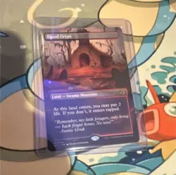 Mtg Blood Crypt Land Full Art Both Sides Of The Card - Image 1