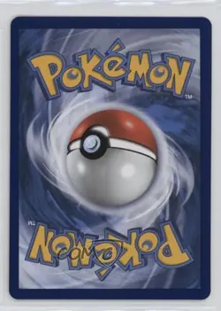 _____'s Pikachu (Wizards Black Star Promo) Pokemon Celebrations #24 - Image 2