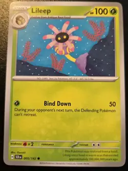 Lileep 005/142 Common Scarlet & Violet: Stellar Crown Pokemon TCG - Image 1