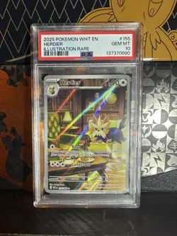 HERDIER 155 POKEMON WHT EN-WHITE FLARE ILLUSTRATION RARE PSA 10 GEM MINT 2025 - Image 1
