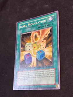 Level Modulation EEN-EN039 - 1st Edition - Common - LP - Goat Format - Image 3