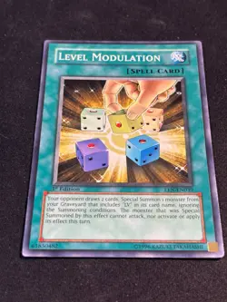 Level Modulation EEN-EN039 - 1st Edition - Common - LP - Goat Format - Image 4