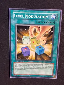 Level Modulation EEN-EN039 - 1st Edition - Common - LP - Goat Format - Image 5