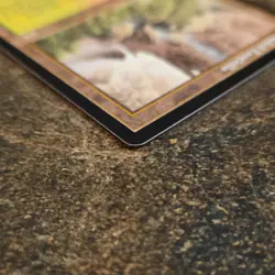 Mtg - Wooded Foothills - Onslaught Regular Rare - 2002 English Rob Alexander - Image 3