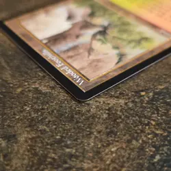 Mtg - Wooded Foothills - Onslaught Regular Rare - 2002 English Rob Alexander - Image 4