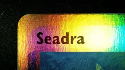 Seadra 39/97 Reverse Holo Pokemon EX Dragon 2003 Vintage NM - Image 4