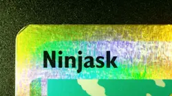 Ninjask 38/97 Reverse Holo Pokemon EX Dragon 2003 Vintage NM - Image 4