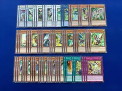 Yu-Gi-Oh! - Complete Dragunity Knight Synchro Deck - Image 1