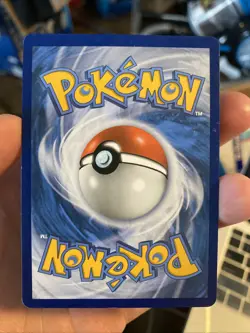 2013 POKEMON XY BLACK STAR PROMO #XY200 MEGA SHARPEDO EX PREMIUM COLLECTION - Image 2