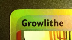 Growlithe 65/100 Reverse Holo Pokemon EX Sandstorm 2003 Vintage LP/NM - Image 4