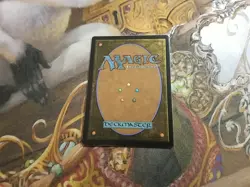 Restless Prairie Borderless MTG The Lost Caverns Of Ixalan - NM - - Image 2