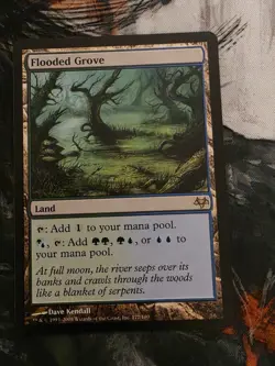 MtG Flooded Grove 177/180 Eventide Regular Rare - Image 1