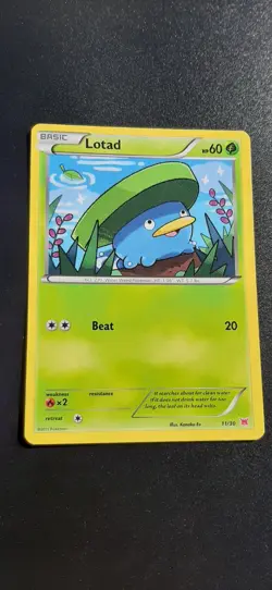 Lotad 11/30 XY Trainer Kit Latias & Latios Regular Common Pokemon Card TCG Game - Image 1