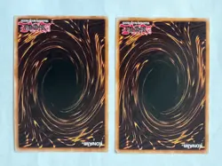 Ghostrick Renovation - EXFO-EN074 - Common - 1st Edition Near Mint - YuGiOh! X2 - Image 2