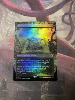 Overgrown Tomb - Borderless Foil - Lorwyn Eclipsed - Magic the Gathering - Image 1