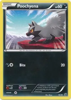 Pokemon - Poochyena - 16/39 - XY - Kalos Starter - NM - Image 1