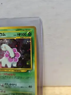 Pokemon TCG Neo Genesis Japanese Meganium No. 154 Holo NM Near Mint - Image 4