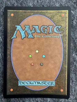 Lulu, Stern Guardian Borderless Chocobo Track Foil MTG Final Fantasy FIN NM X1 - Image 2