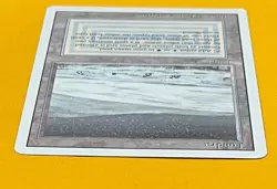 MTG TUNDRA Revised (OldManMTG 013-235) - Image 3