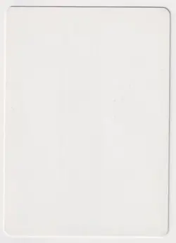 Miscut Japanese Tundra Wolves Proof MP 4th FBB Artist Quinton Hoover 1996 MTG AP - Image 2