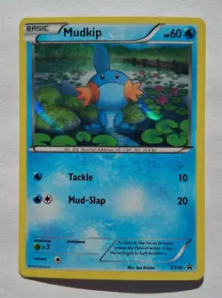 Pokemon - Mudkip - X&Y XY Promo XY38 - Holo - NM - Image 1