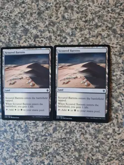 MTG 2 x Scoured Barrens - khans of Tarkir - Image 1