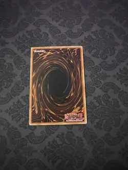 Toon Alligator - SS01-ENC02 - Common - 1st ed - Yugioh - Image 2