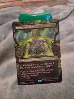 Overgrown Tomb (Borderless) Lorwyn Eclipsed Regular Mtg - Image 1
