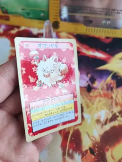 Pokemon Karte Card Rasaff Primpeap Topsun Japaness Blue Back 1995 VG 1. Print - Image 4