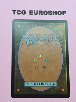 Brigid, Hero of Kinsbaile | LORWYN | RARE | PORTUGUESE | 2007 | MTG | NM | #C899 - Image 2