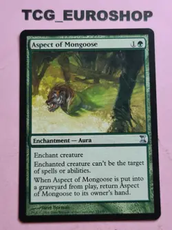 ASPECT OF MONGOOSE ● TIME SPIRAL ● ENGLISH ● MTG ● NM #2524 - Image 1