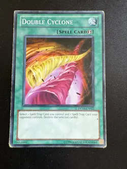 Double Cyclone Common Unlimited DP10-EN022 - Image 1