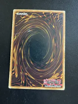 Double Cyclone Common Unlimited DP10-EN022 - Image 2