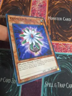 Yu-Gi-Oh! Glow-Up Bulb SDCL-EN021 Common 1st Edition Near Mint b2/ - Image 2
