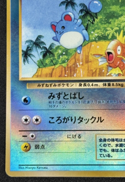 Marill 1999 Pokemon Japanese Promo Southern Islands Reverse Holo - Image 4
