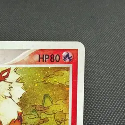 Arcanine 014/080 Magma VS Aqua: Two Ambitions Japanese Pokemon Card #06A4 - Image 2