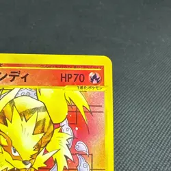 Arcanine 023/048 Web e Series Unlimited 2001 Japanese Pokemon Card #009B - Image 3